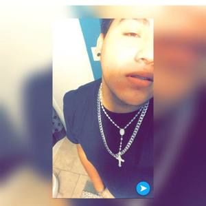 Meet your Posher, Wilber